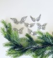 IMG_5104.jpeg
