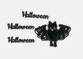IMG_7616.jpeg