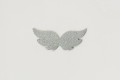 IMG_7755.jpeg