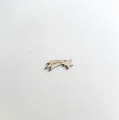 IMG_8008.jpeg