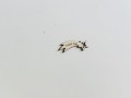 IMG_8009.jpeg