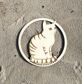 IMG_1238.jpeg