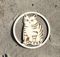 IMG_1237.jpeg