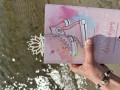 IMG_3205.jpeg