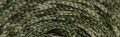 IMG_8065.jpeg