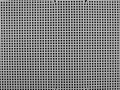 IMG_3237.jpeg