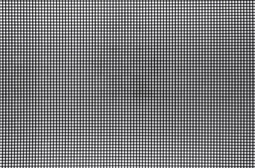 IMG_3609.jpeg