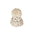 CottonCord – kopia.png