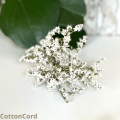 CottonCord.png