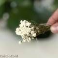 CottonCord.jpeg