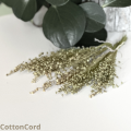 CottonCord.png
