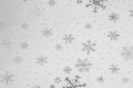 IMG_4949.jpeg