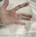 CottonCord.png.jpeg