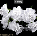CottonCord.png