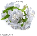 CottonCord.png