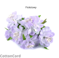 CottonCord.png