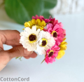 CottonCord.png