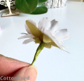 CottonCord.png
