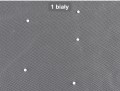 IMG_5707.jpeg