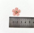 IMG_5876.jpeg