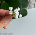 CottonCord.png