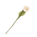 CottonCord – kopia.png