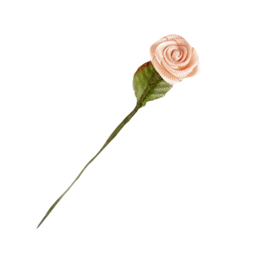 CottonCord – kopia.png