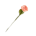 CottonCord – kopia.png
