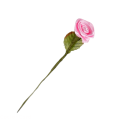 CottonCord – kopia.png