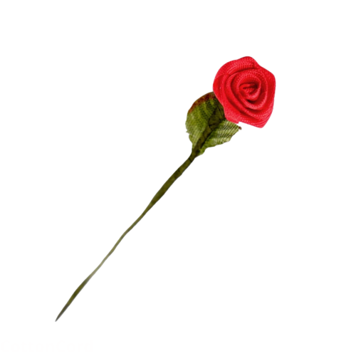 CottonCord – kopia.png