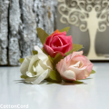 CottonCord – kopia.png