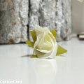 CottonCord – kopia.png