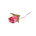CottonCord – kopia.png