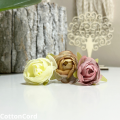 CottonCord – kopia.png