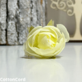 CottonCord – kopia.png