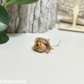 CottonCord – kopia.png
