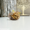 CottonCord – kopia.png