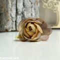 CottonCord – kopia.png