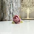 CottonCord – kopia.png