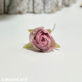 CottonCord – kopia.png
