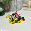 CottonCord – kopia.png