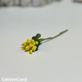 CottonCord – kopia.png