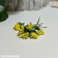 CottonCord – kopia.png