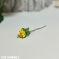 CottonCord – kopia.png