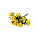 CottonCord – kopia.png