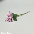 CottonCord – kopia.png