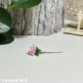 CottonCord – kopia.png