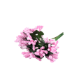 CottonCord – kopia.png