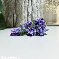 CottonCord – kopia.png