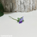 CottonCord – kopia.png